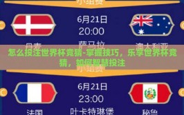 怎么投注世界杯竞猜-掌握技巧，乐享世界杯竞猜，如何智慧投注