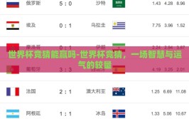 世界杯竞猜能赢吗-世界杯竞猜，一场智慧与运气的较量