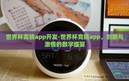 世界杯竞猜app开发-世界杯竞猜app，创新与激情的数字盛宴