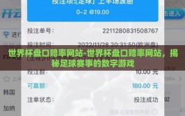 世界杯盘口赔率网站-世界杯盘口赔率网站，揭秘足球赛事的数字游戏