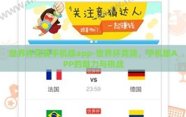 世界杯竞猜手机版app-世界杯竞猜，手机版APP的魅力与挑战