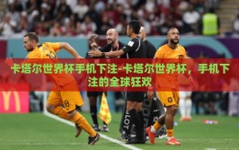 卡塔尔世界杯手机下注-卡塔尔世界杯，手机下注的全球狂欢