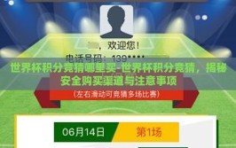 世界杯积分竞猜哪里买-世界杯积分竞猜，揭秘安全购买渠道与注意事项