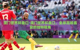澳门世界杯盘口-澳门世界杯盘口，全球足球盛宴的独特视角