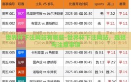 世界杯下注网站有哪些-世界杯下注网站，选择与注意事项