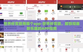 世界杯竞猜用哪个app-世界杯竞猜，解锁观赛新乐趣的APP指南