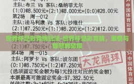 世界杯足彩竞猜玩法-世界杯足彩竞猜，激情与智慧的碰撞