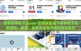 世界杯手机下注app-世界杯热潮下的手机下注新体验，便捷、安全与乐趣并存的数字娱乐