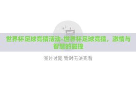 世界杯足球竞猜活动-世界杯足球竞猜，激情与智慧的碰撞