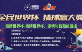 竞猜世界杯-竞猜世界杯，激情与智慧的碰撞