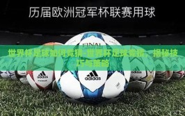 世界杯足球如何竞猜-世界杯足球竞猜，揭秘技巧与策略