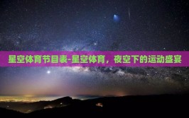 星空体育节目表-星空体育，夜空下的运动盛宴