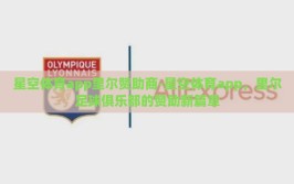 星空体育app里尔赞助商-星空体育app，里尔足球俱乐部的赞助新篇章