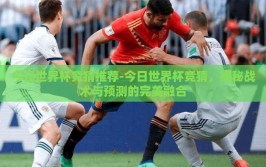 今日世界杯竞猜推荐-今日世界杯竞猜，揭秘战术与预测的完美融合