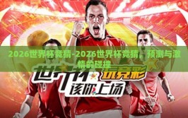 2026世界杯竞猜-2026世界杯竞猜，预测与激情的碰撞
