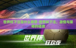 世界杯下注是什么意思-世界杯下注，激情与策略的碰撞
