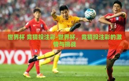 世界杯 竞猜投注彩-世界杯，竞猜投注彩的激情与挑战