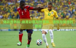体彩世界杯-体育彩票与世界杯，激情与梦想的碰撞