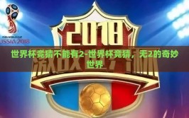 世界杯竞猜不能有2-世界杯竞猜，无2的奇妙世界