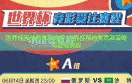 世界杯预选赛竞彩推荐-世界杯预选赛竞彩策略与智慧洞察