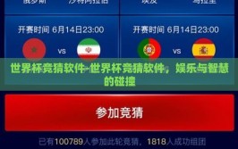 世界杯竞猜软件-世界杯竞猜软件，娱乐与智慧的碰撞