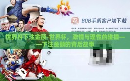 世界杯下注金额-世界杯，激情与理性的碰撞——下注金额的背后故事