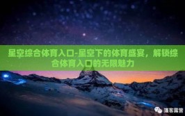 星空综合体育入口-星空下的体育盛宴，解锁综合体育入口的无限魅力