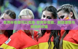 世界杯在哪可以竞猜-世界杯竞猜，解锁激情与预测的乐趣