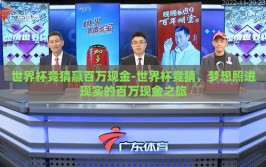 世界杯竞猜赢百万现金-世界杯竞猜，梦想照进现实的百万现金之旅