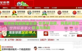 世界杯竞猜网易彩票-世界杯竞猜，网易彩票的乐趣与挑战