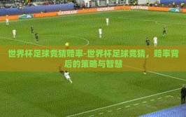 世界杯足球竞猜赔率-世界杯足球竞猜，赔率背后的策略与智慧