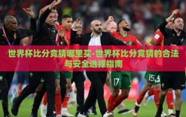 世界杯比分竞猜哪里买-世界杯比分竞猜的合法与安全选择指南