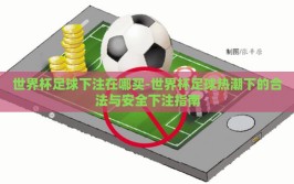 世界杯足球下注在哪买-世界杯足球热潮下的合法与安全下注指南