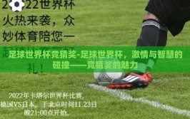 足球世界杯竞猜奖-足球世界杯，激情与智慧的碰撞——竞猜奖的魅力