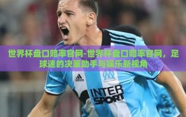 世界杯盘口赔率官网-世界杯盘口赔率官网，足球迷的决策助手与娱乐新视角