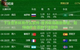 下注世界杯用什么软件-世界杯观赛新体验，如何选择合适的下注软件