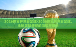 2026世界杯竞彩足球-2026世界杯竞彩足球，全球足球盛宴的激情与机遇