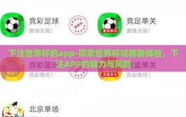 下注世界杯的app-探索世界杯观赛新体验，下注APP的魅力与风险