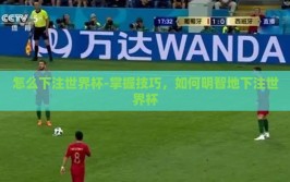 怎么下注世界杯-掌握技巧，如何明智地下注世界杯