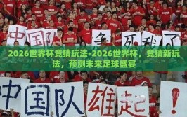 2026世界杯竞猜玩法-2026世界杯，竞猜新玩法，预测未来足球盛宴