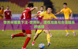 世界杯哪里下注-世界杯，理性观赛与合法娱乐的选择