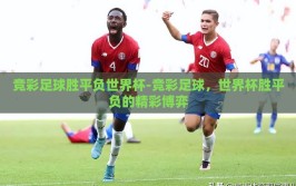 竞彩足球胜平负世界杯-竞彩足球，世界杯胜平负的精彩博弈
