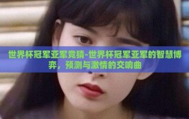 世界杯冠军亚军竞猜-世界杯冠军亚军的智慧博弈，预测与激情的交响曲