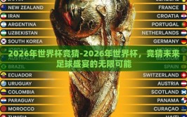 2026年世界杯竞猜-2026年世界杯，竞猜未来足球盛宴的无限可能
