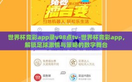 世界杯竞彩app录v98点tv-世界杯竞彩app，解锁足球激情与策略的数字舞台