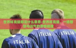 世界杯竞猜那是什么意思-世界杯竞猜，一场智慧与运气的激情碰撞