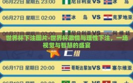 世界杯下注图片-世界杯激情与理性下注，一场视觉与智慧的盛宴
