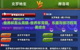 世界杯怎么竞猜-世界杯竞猜，乐趣与技巧的完美结合