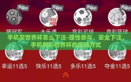 手机买世界杯怎么下注-理性参与，安全下注，手机购彩世界杯的正确方式