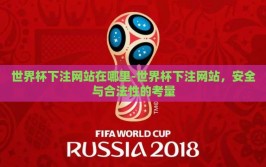 世界杯下注网站在哪里-世界杯下注网站，安全与合法性的考量
